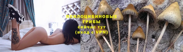 метамфетамин Гусиноозёрск