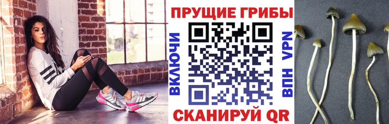 Галлюциногенные грибы мицелий  Купить где  Южно-Сухокумск 