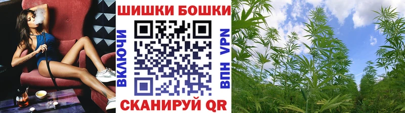 Бошки Шишки гибрид  Купить где  Южно-Сухокумск 